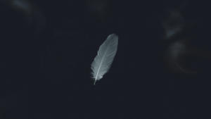 evie-s-mmLEOIyqCZU-unsplash 1 (1) This photo appears to be a white feather, representing an angel surrounded by darkness but also representing peace among artists split by the Russian-Ukrainian War.